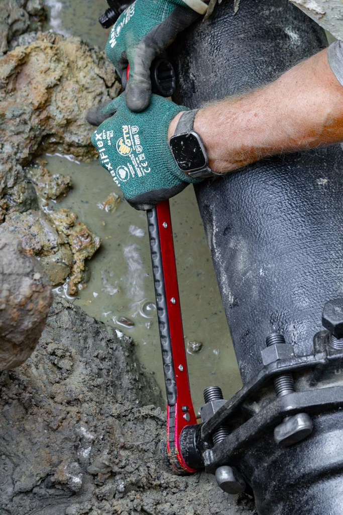 Gallery Image 9 - 4567400