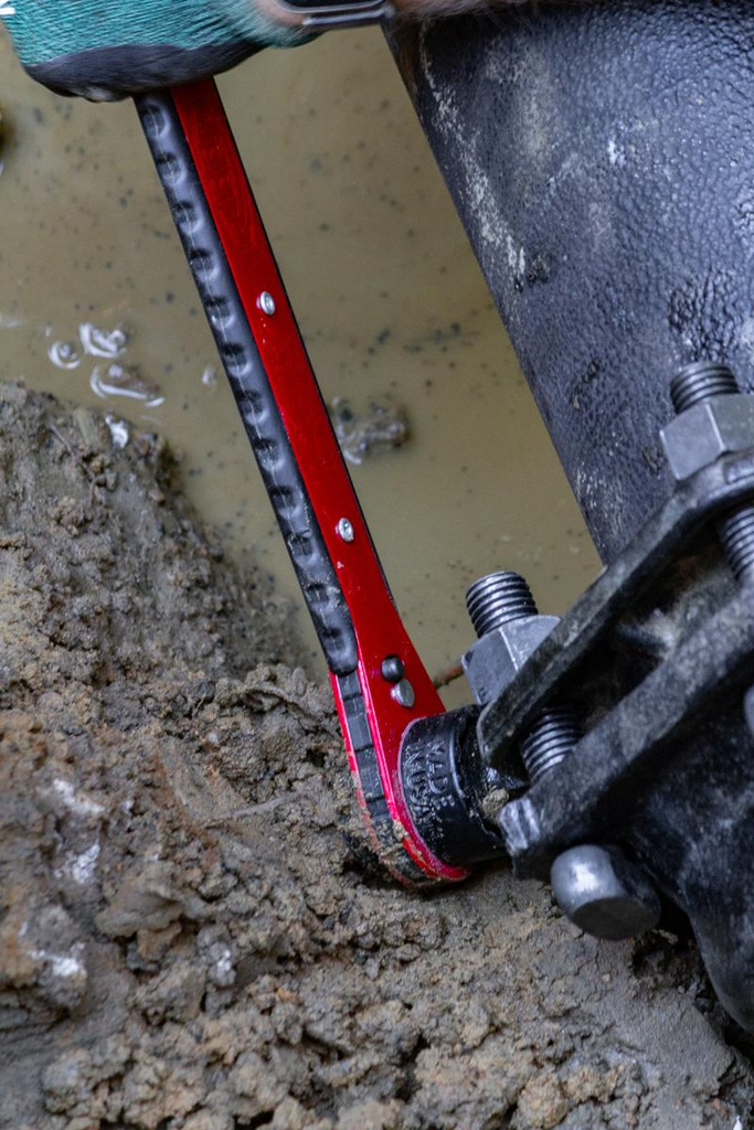 Gallery Image 10 - 4567400