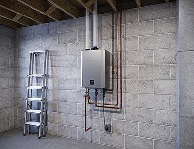 Gallery Image 8 - 3680430