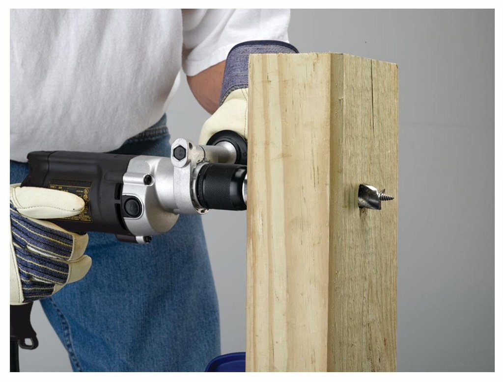 Gallery Image 4 - 4496290