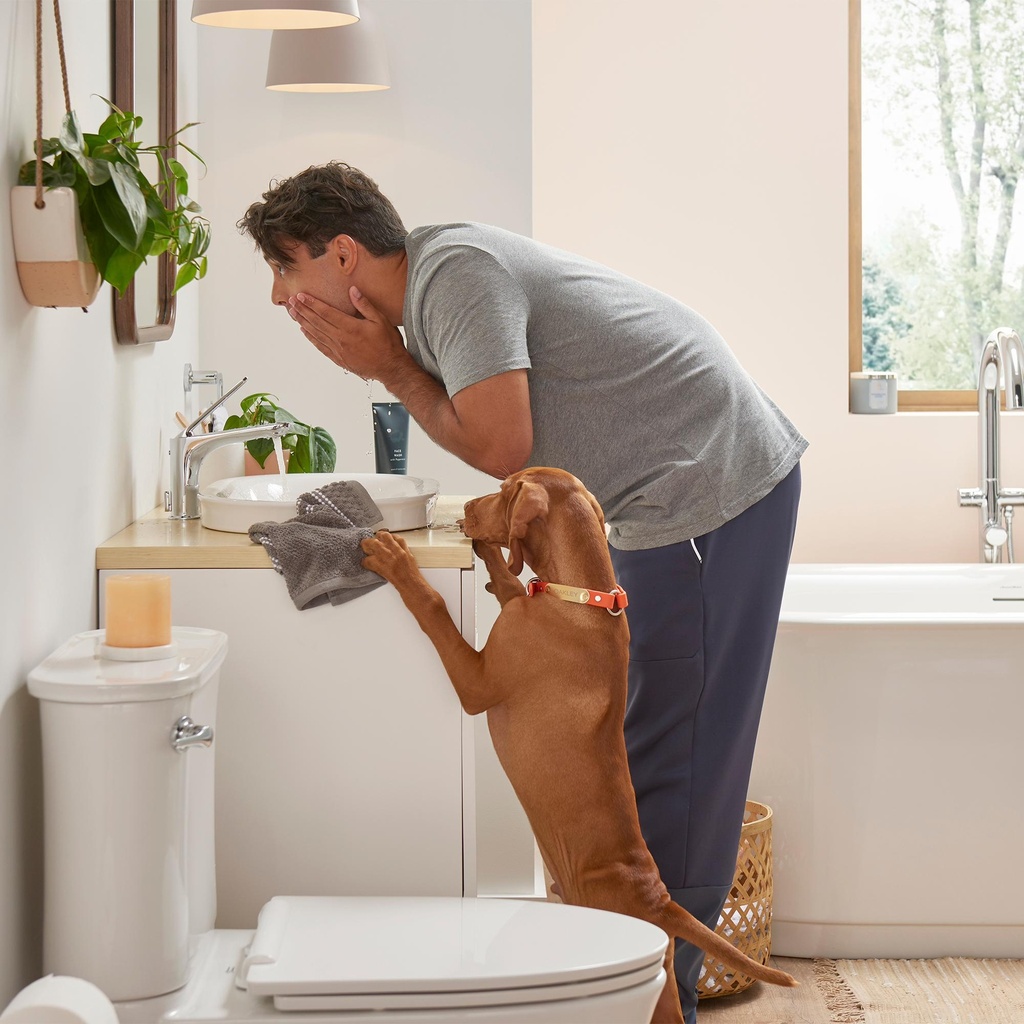 Gallery Image 4 - 1305681