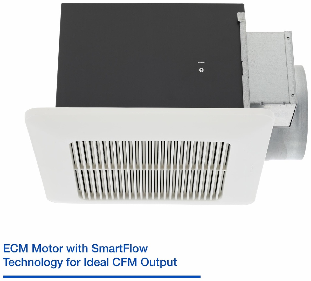 Gallery Image 5 - 5040215