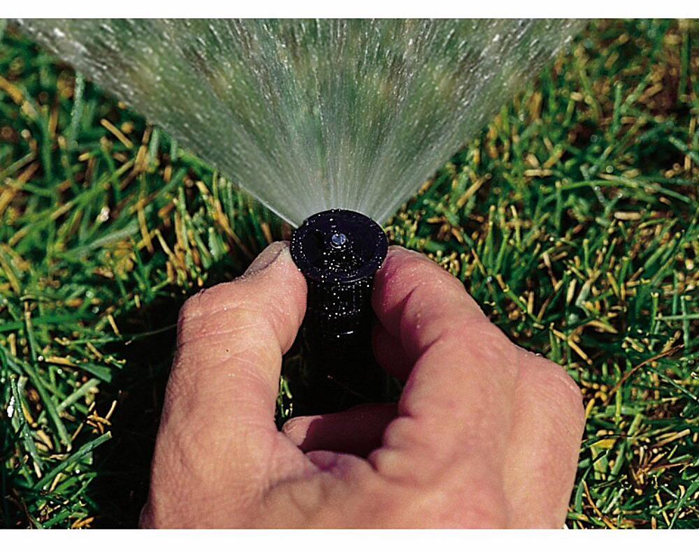 Gallery Image 2 - 4621520