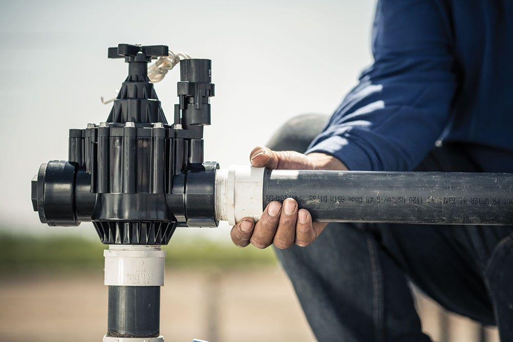 Gallery Image 6 - 4622120