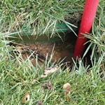 Gallery Image 5 - 7500155