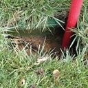 Gallery Image 5 - 7500155