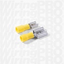 Gallery Image 2 - 7502640