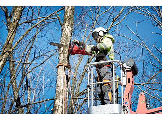 Gallery Image 13 - 4515265