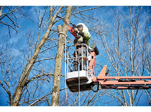 Gallery Image 14 - 4515265