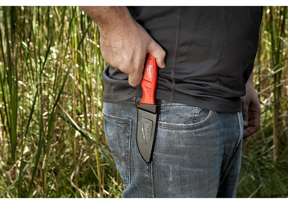 Gallery Image 5 - 4527215