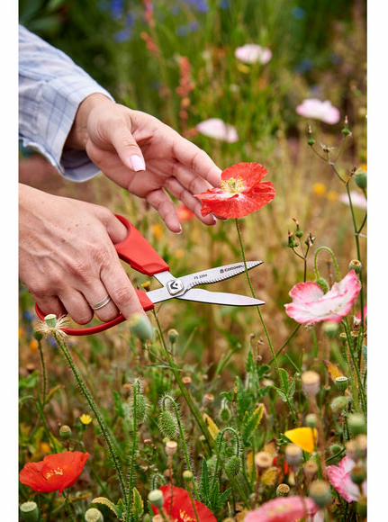 Gallery Image 3 - 5431155