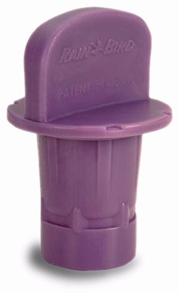 Gallery Image 4 - 4625206