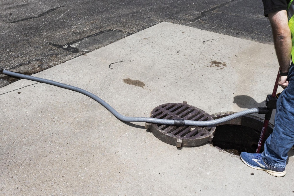 Gallery Image 8 - 4566850