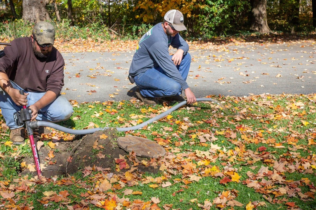 Gallery Image 12 - 4566850