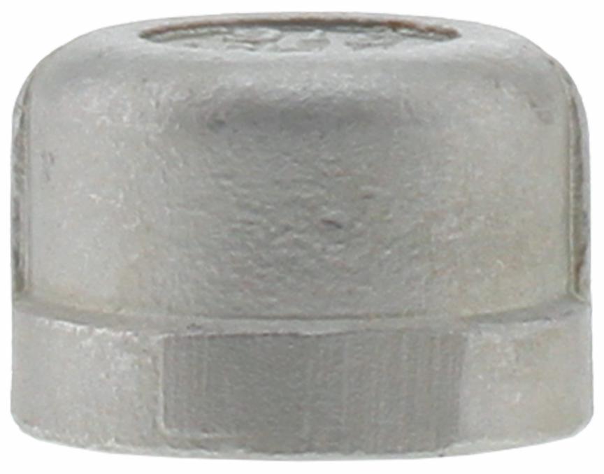 SS316CA-07 - '3/4" 316SS Cap Iso4144'