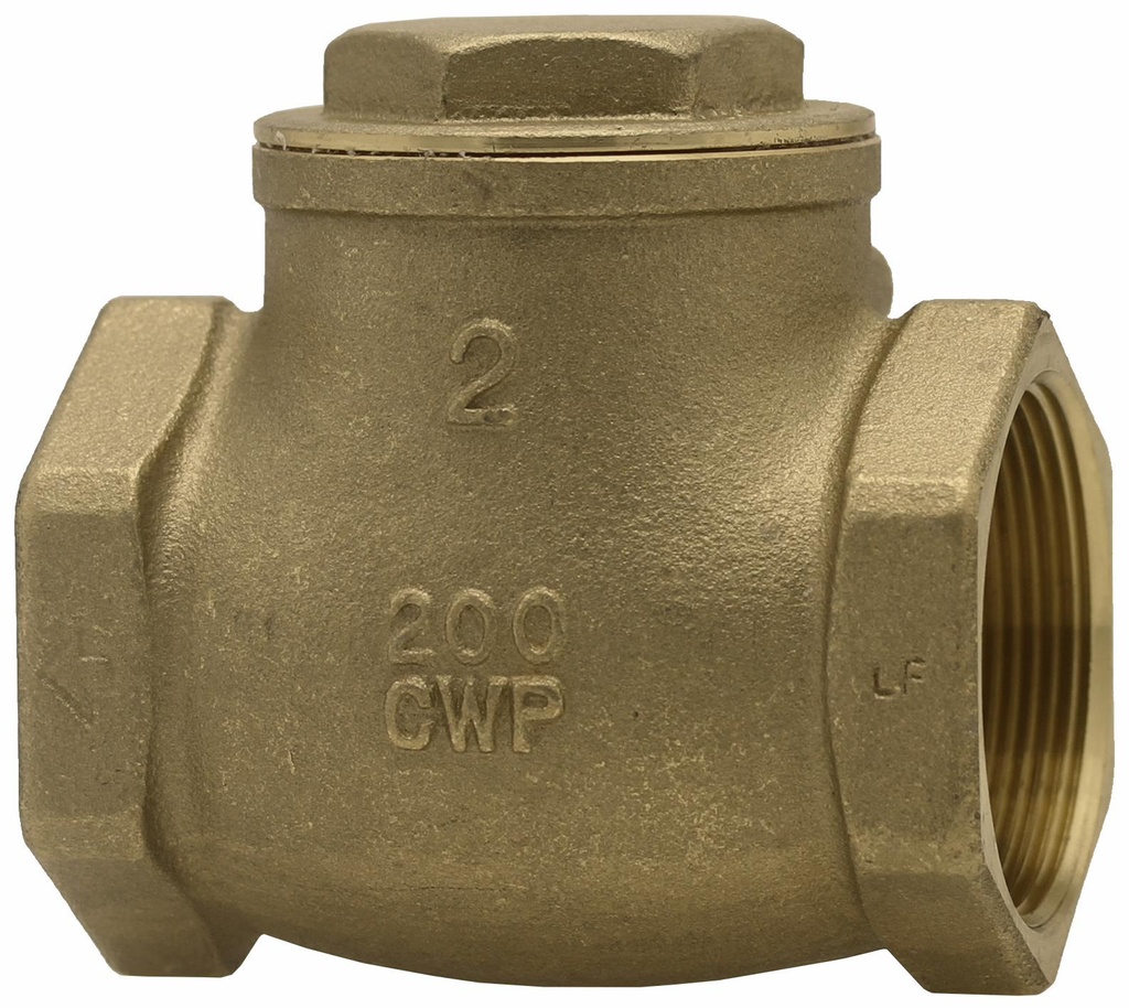 08060811NL - 'No Lead 2"FPT Swing Check'