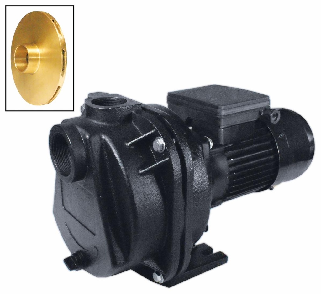 1.5HP IRRIGATION PUMP 230V 700506