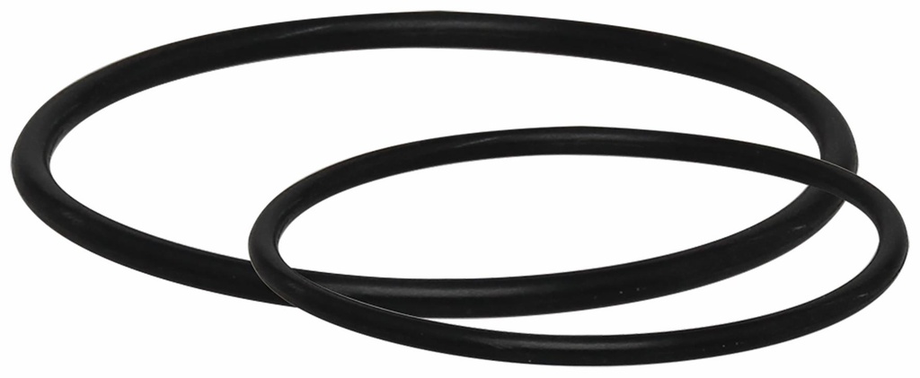 14SF-ORK10 - '1"Sed Filter O-Rng Kit 210/226'