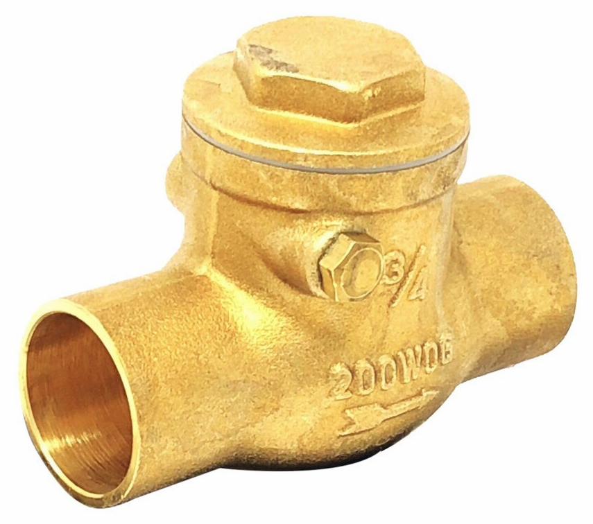 1 BRS CXC SWING CHK VALVE 200