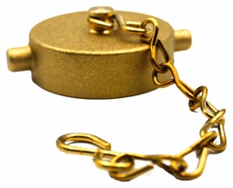 [3809640] 1-1/2 BRASS FNPSH CAP/CHAIN