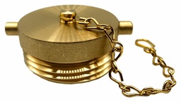 [3809625] 2-1/2 BRASS MBCT PLUG/CHAIN