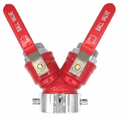 [3809668] 2-1/2 FBCT X 2 1-1/2 MNPSH GATED Y