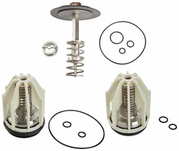 [6912465] 2-1/2 And 3 In LFRK 009-T 2 1/2-3 Total Valve Repair Kit