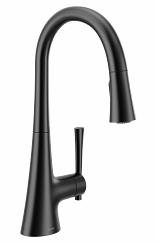 [5921341] Kurv Kitchen Faucet with Pulldown Spray