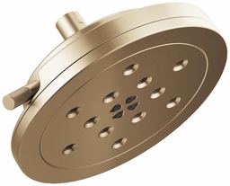 [3051390] Litze Raincan Shower Head with H2OKinetic