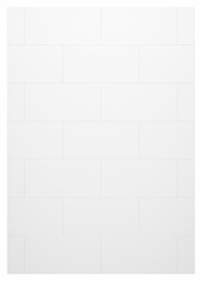 [6451115] Denso 62" x 84" Shower Back Wall
